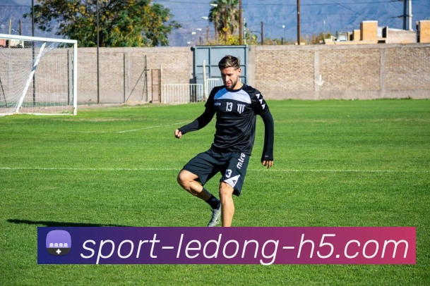 乐动体育平台生态图