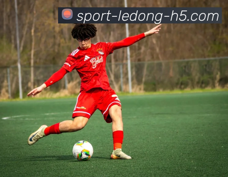 乐动体育APP 封面图