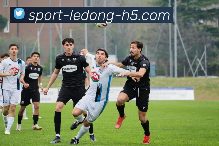 数据防护可视化